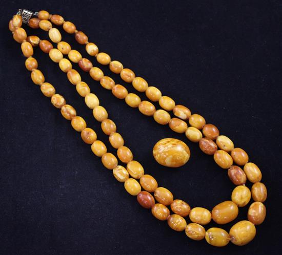 A double strand graduated oval amber bead necklace,